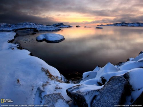 Фотографии National Geographic за январь 2011 год