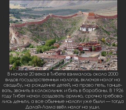 Интересные факты в картинках (часть 4)