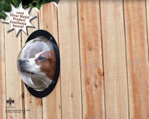 ���������� ���� (����� 5)