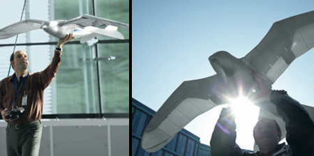 Птица-робот