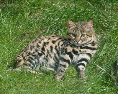 14 удивительных чудес природы, о которых мы никогда не предполагали 14 удивительных чудес природы, о которых мы никогда не предполагали