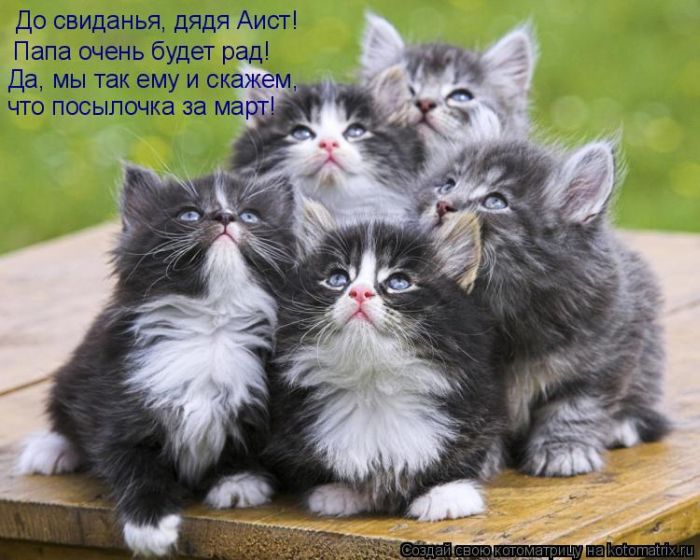 http://www.bugaga.ru/uploads/posts/2011-04/1301618037_kotomatritsa-23.jpg