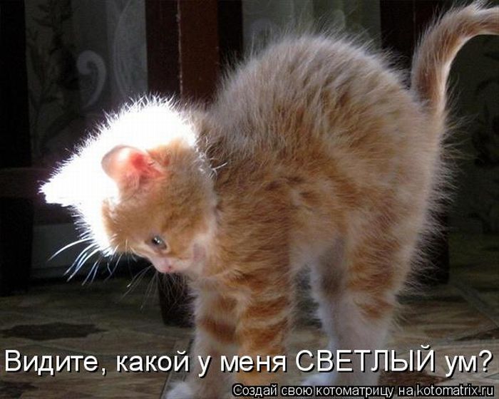 http://www.bugaga.ru/uploads/posts/2011-04/1303427749_kotomatritsa.jpg