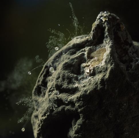 Stop-motion фотографии от Stephen Dalton