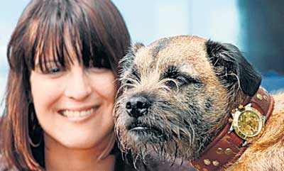 Ролекс для терьера