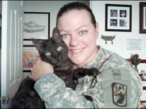 Солдаты и кошки