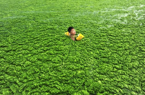 Зеленые китайские пляжи
