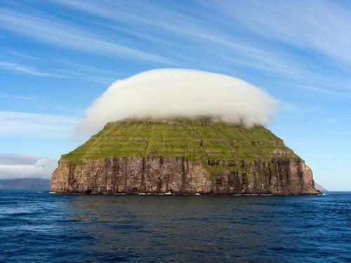 Пятничная подборка приколов Пятничная подборка приколов