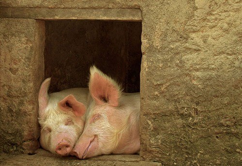 Позитив для всех: счастье такое разное! Позитив для всех: счастье такое разное!