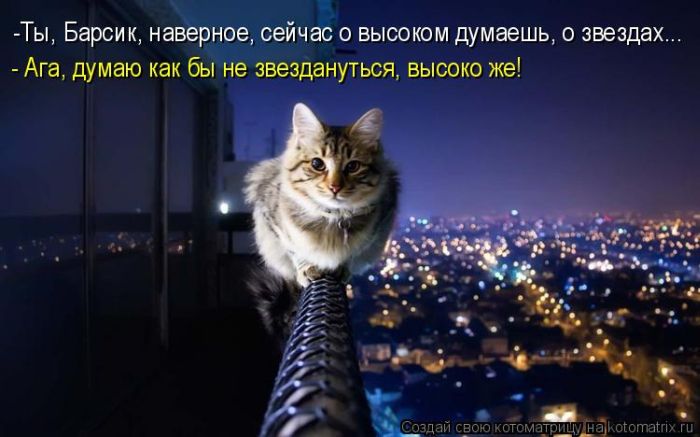 http://www.bugaga.ru/uploads/posts/2011-11/1320392532_1.jpg