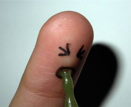 Рисунки на пальцах Рисунки на пальцах