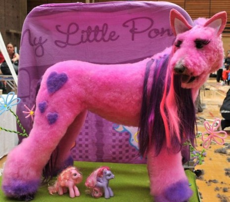 Собаки - жертвы парикмахеров