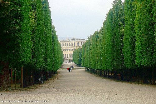 Венский дворец Шенбрунн