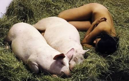 10 самых странных инсталляций 10 самых странных инсталляций