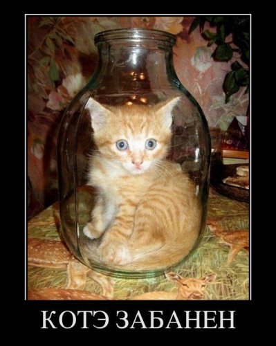 Демотиваторы (15 фото)