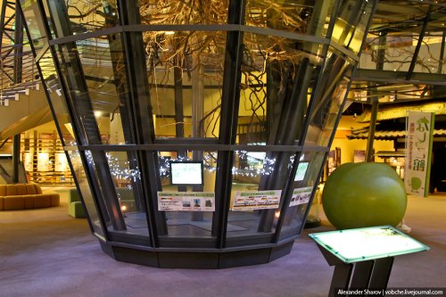 В японской префектуре Тоттори находится "Музей груш сорта ХХ века". 1324292763_10