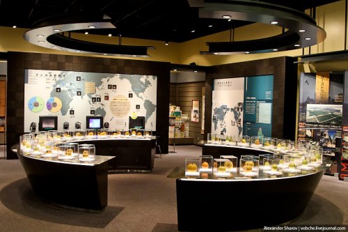 В японской префектуре Тоттори находится "Музей груш сорта ХХ века". 1324292774_6