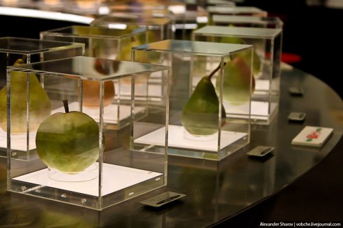 В японской префектуре Тоттори находится "Музей груш сорта ХХ века". 1324292797_9