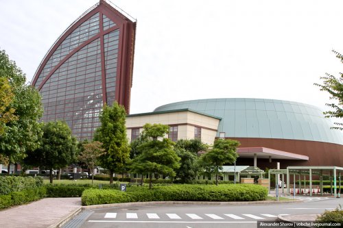 В японской префектуре Тоттори находится "Музей груш сорта ХХ века". 1324292812_2