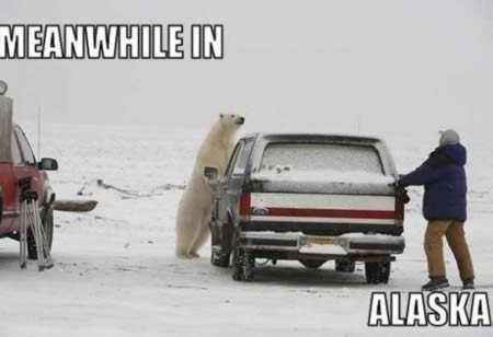 Лучшие мемы из серии "Тем временем в.." Лучшие мемы из серии "Тем временем в.."