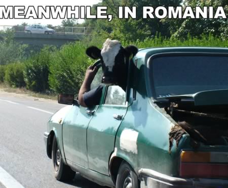 Лучшие мемы из серии "Тем временем в.." Лучшие мемы из серии "Тем временем в.."