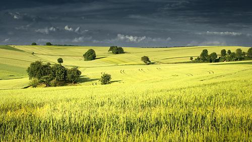 Красивые пейзажи от Денниса Фишера