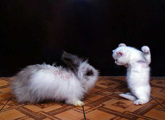 Опубликованное фото