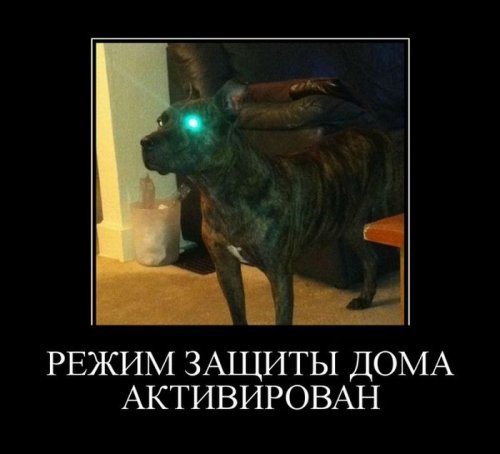 Веселые демотиваторы