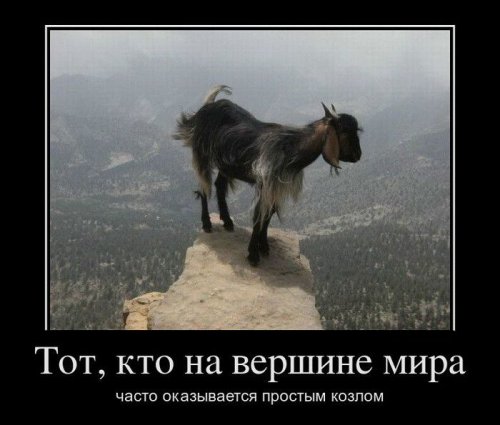 Веселые демотиваторы