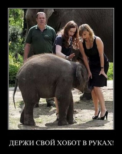 Веселые демотиваторы