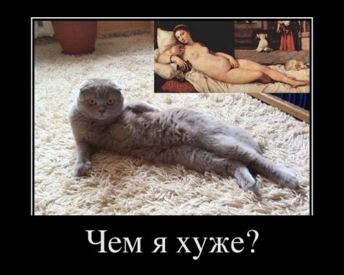 Опубликованное фото