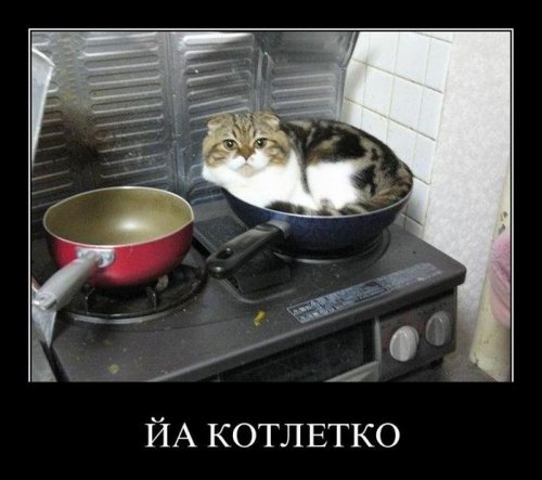 Опубликованное фото