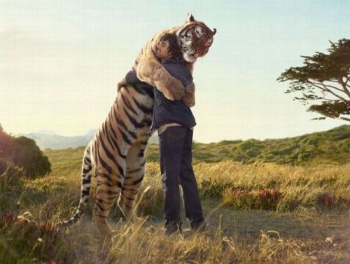 Опубликованное фото