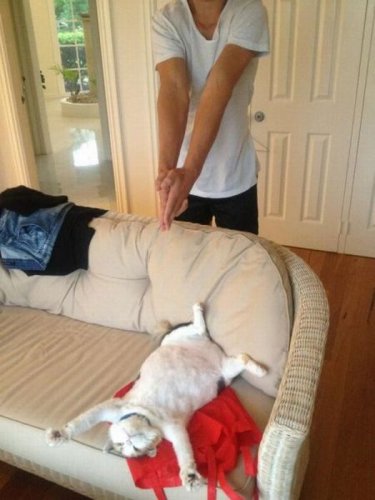 Опубликованное фото