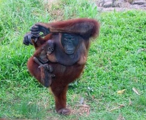 Опубликованное фото