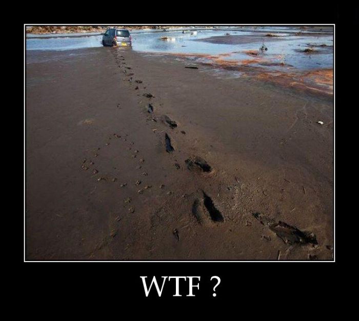 Опубликованное фото