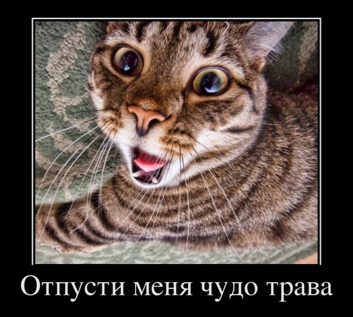 Опубликованное фото