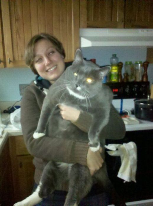 Опубликованное фото