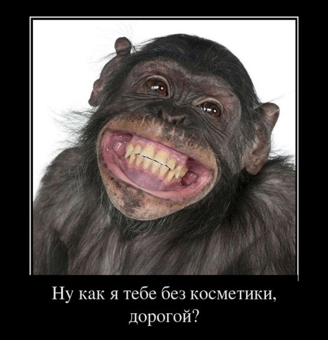 Опубликованное фото