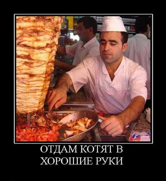 1329695942_demotivator02.jpg