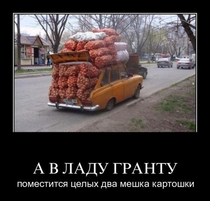 1329695974_demotivator28.jpg