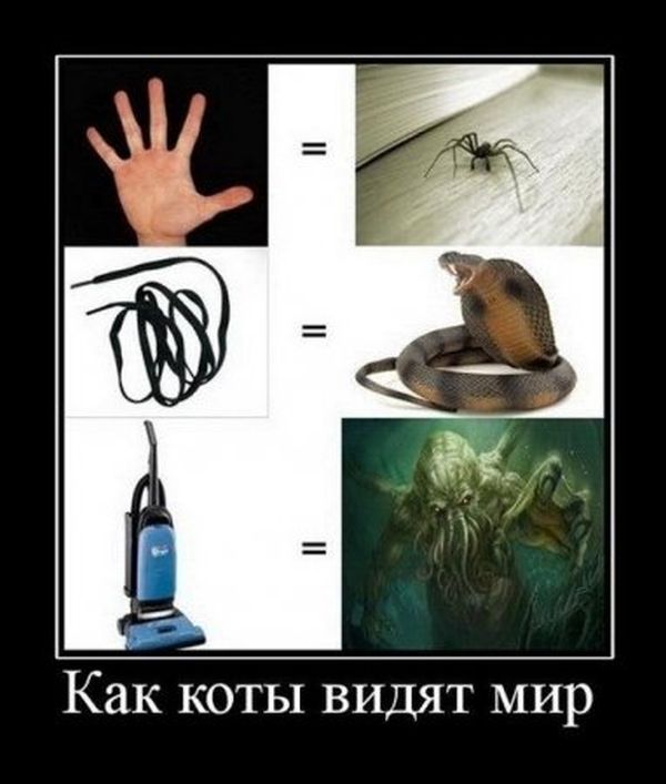 Опубликованное фото