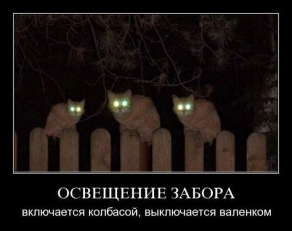 Опубликованное фото