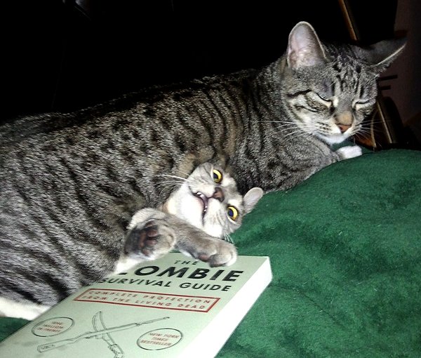 Опубликованное фото