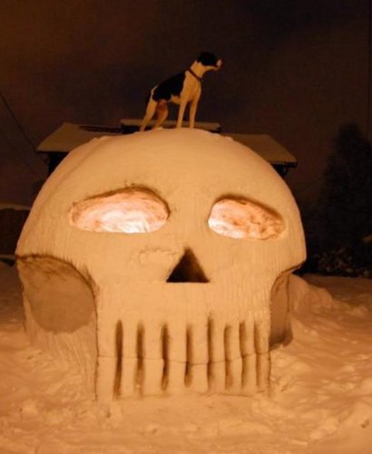 Пятничный заряд позитива в фото-приколах