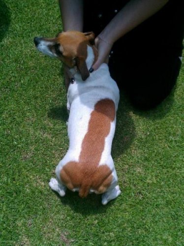 Пятничный заряд позитива в фото-приколах