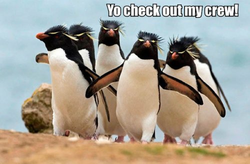 Пятничный заряд позитива в фото-приколах