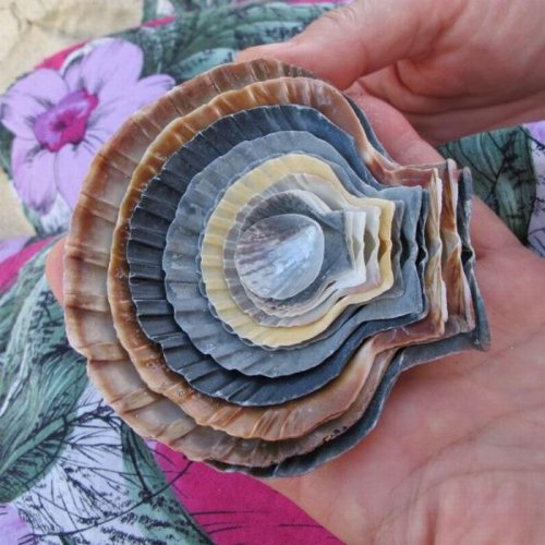 Пятничный заряд позитива в фото-приколах