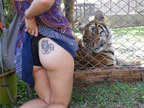 Пятничный заряд позитива в фото-приколах