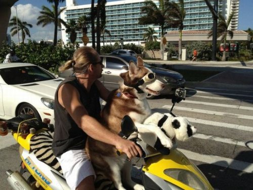 Пятничный заряд позитива в фото-приколах